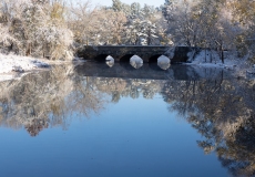 River Reflections